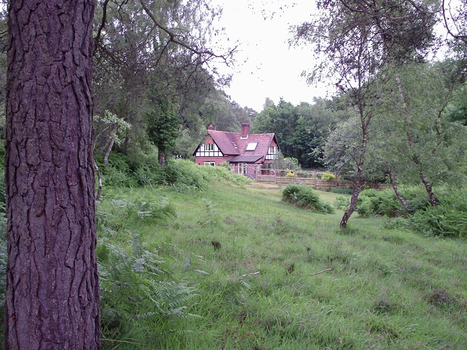 New Forest Gatehouse, our new home in the woods